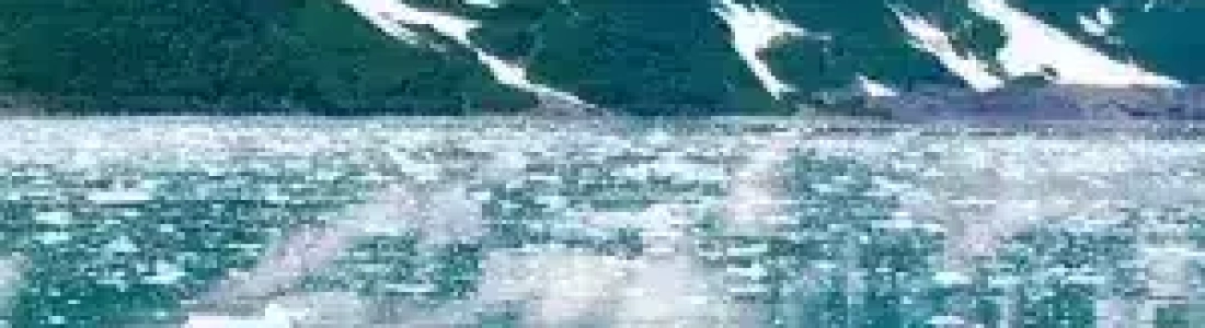 Brevetto del Mese Italia- Maggio 2025